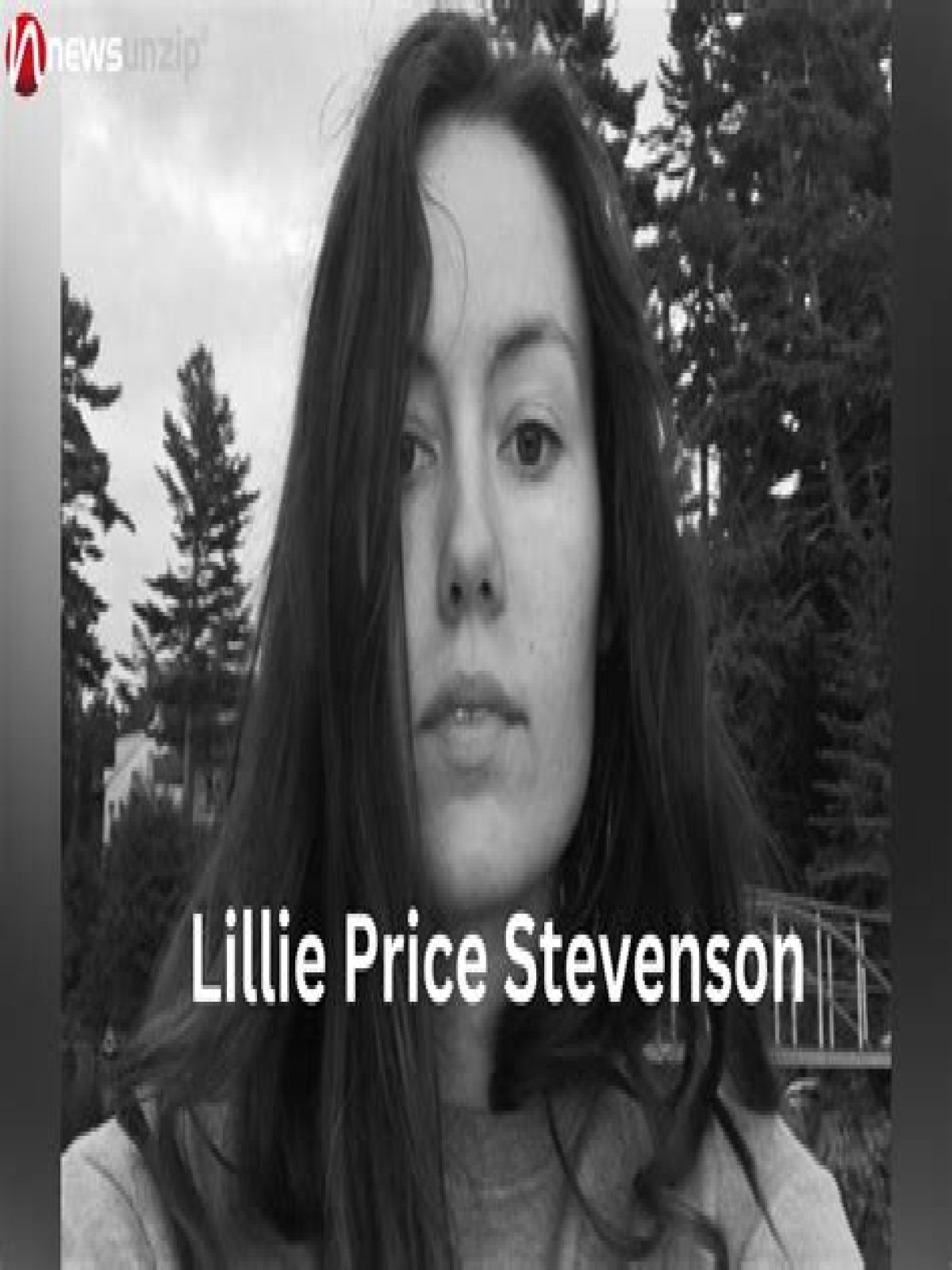 Discovering Lillie Price Stevenson: A Glimpse Into 2020