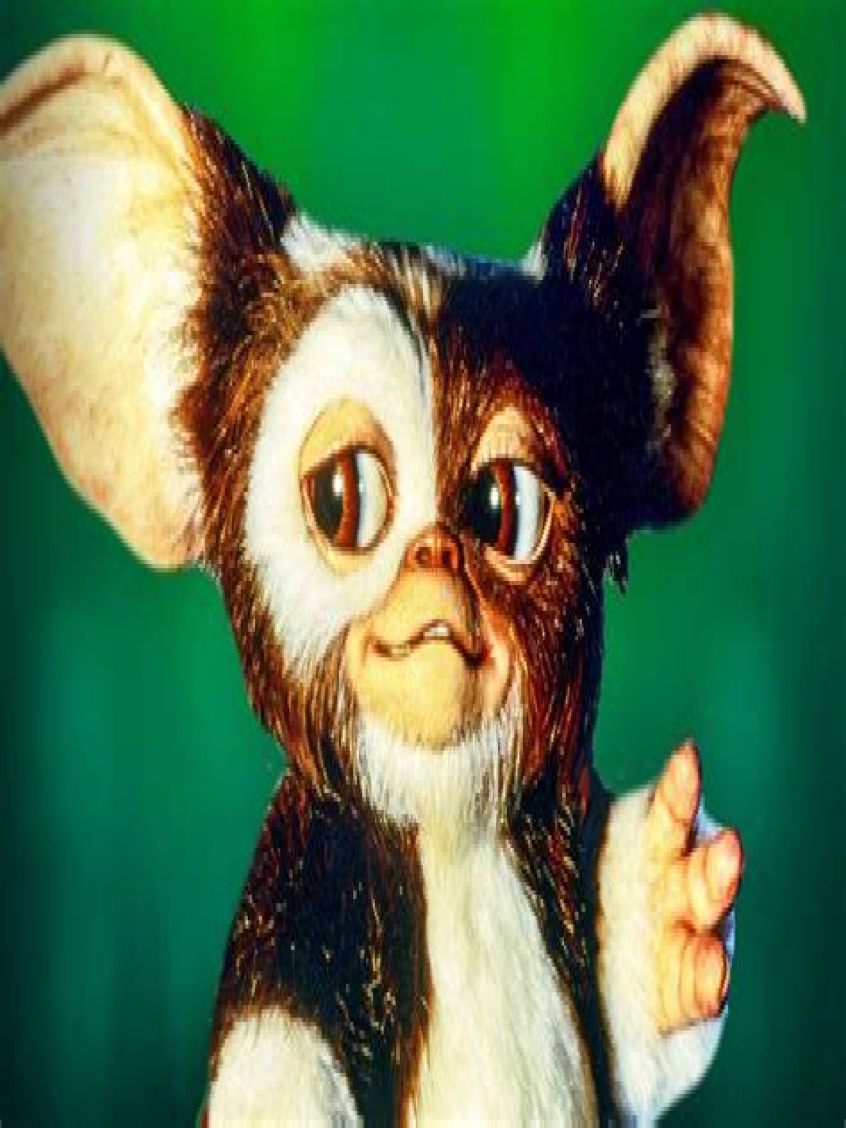 Exploring The Lives Of The Gremlins Cast Now