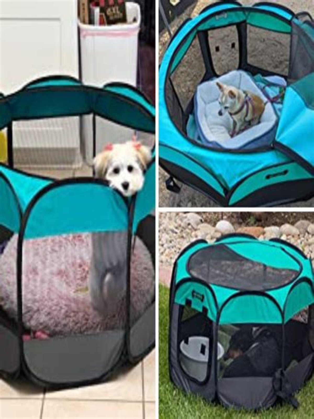 Finding The Best Portable Puppy Playpen For Your Furry Friend