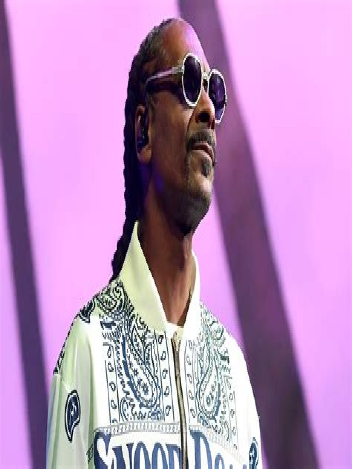 Snoop Dogg: The Criminal History Behind The Icon